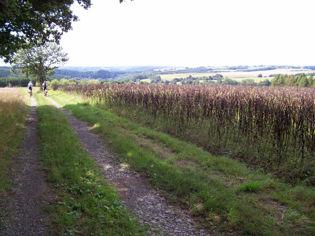 singletrails dahn callgirls erfurt singletrails dahn callgirls erfurt