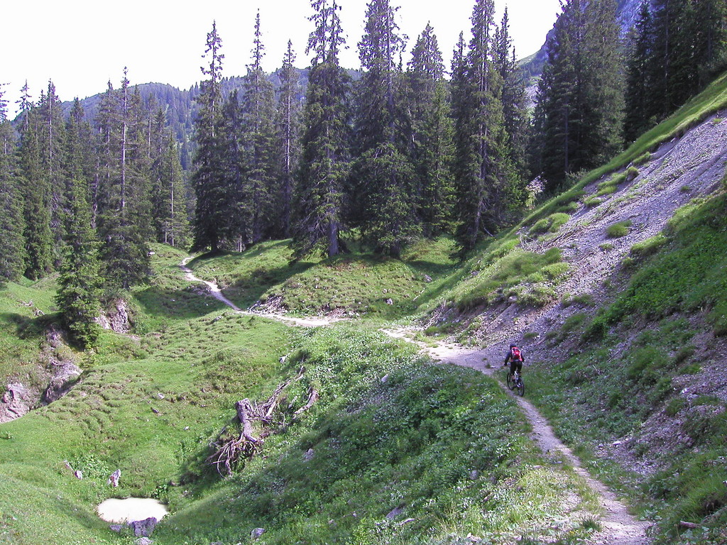 Bludenz: Muttersberg-Singletrail bei mountainbike-magazin.de