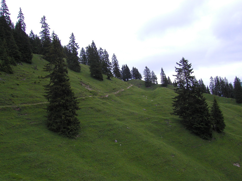 ... , Vorarlberg, Südtirol, Schweiz und Bayern - Mountainbikers Paradise